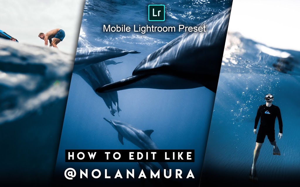 Download Costaryza Inspired Mobile Lightroom Presets dng ...